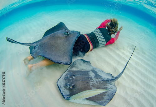 The underwater marine animals of Grand Cayman
