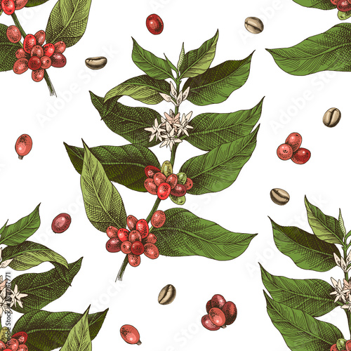 Seamless pattern with colorful hand drawn coffee tree branches and beans
