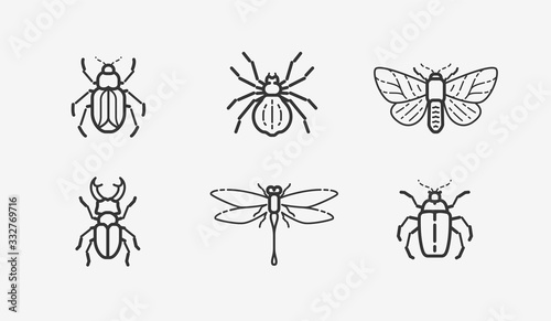 Insects icon set. Animals in linear style, vector illustration