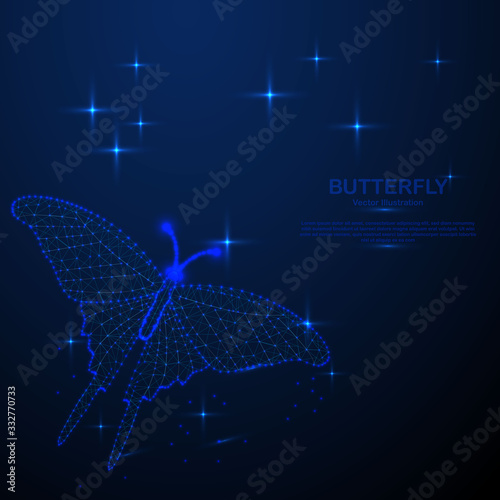 Abstract butterfly in the space, low poly style design