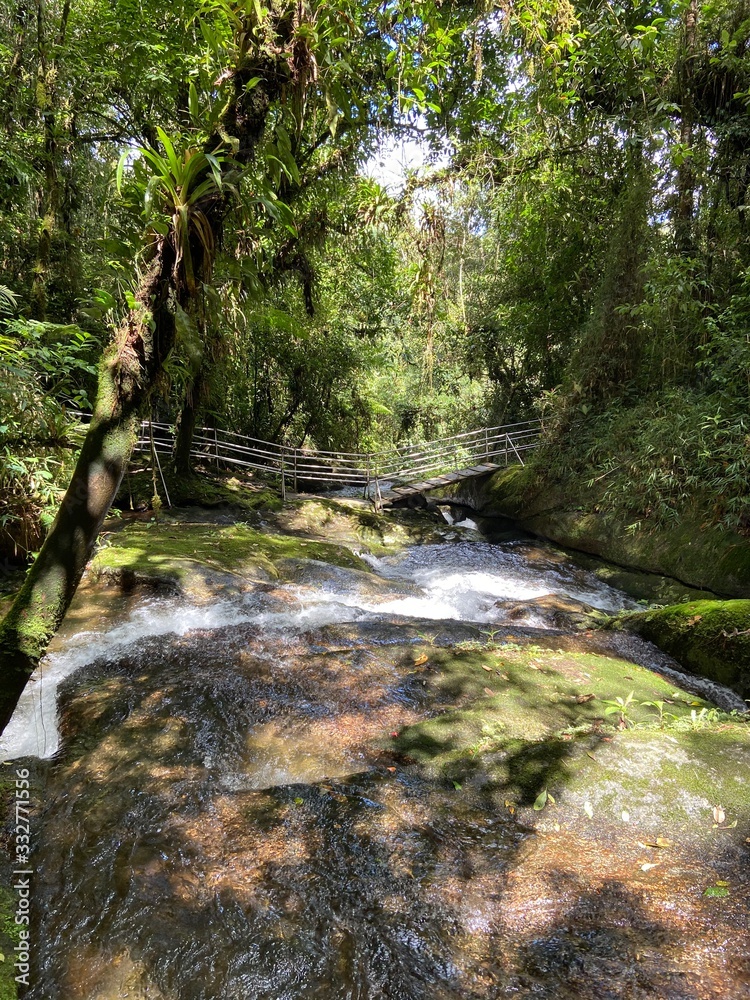 Obraz premium waterfall in forest