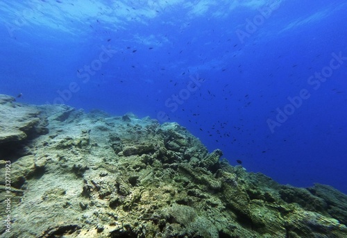 Underwater Scene Background, Diving