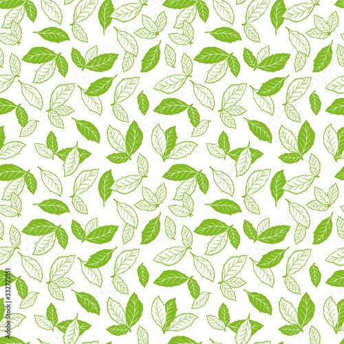 Hand drawn Green tea leaves or Mint Leaf Seamless pattern. Medicinal plants or Spicy Herbs Vector Background