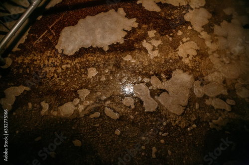 Tableau sur toile Brewing process. Fermentation of beer inside the vat