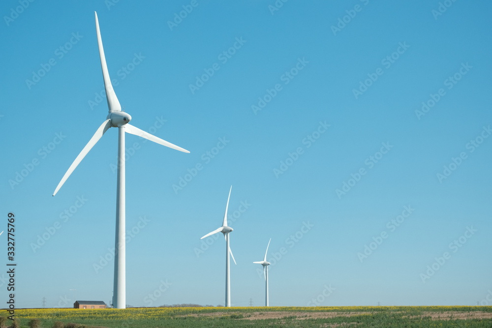 Three wind turbines in a field of yellow flowers on a clear summers day. Three wind turbines in a field of yellow flowers on a clear summers day.
