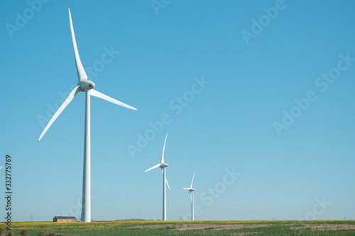 Three wind turbines in a field of yellow flowers on a clear summers day.