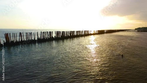 Wallpaper Mural wonderful nature mangroves forest wilderness Torontodigital.ca