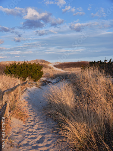 Fototapeta Naklejka Na Ścianę i Meble -  New Jersey's Island Beach State Park shows its true beauty in this dusk image of one of the many access points to the beach across the tall an protected sand dunes