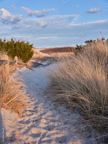 Canvas Print New Jersey's Island Beach State Park shows its true beauty in this dusk image of