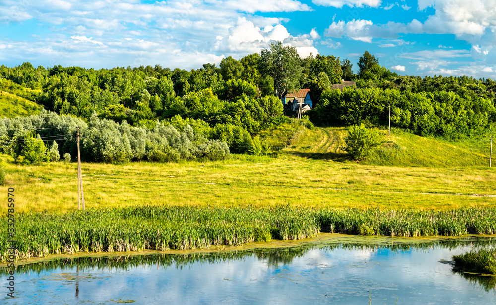 Fototapeta premium Lake in Bolshoe Gorodkovo - Kursk region, Russian Federation