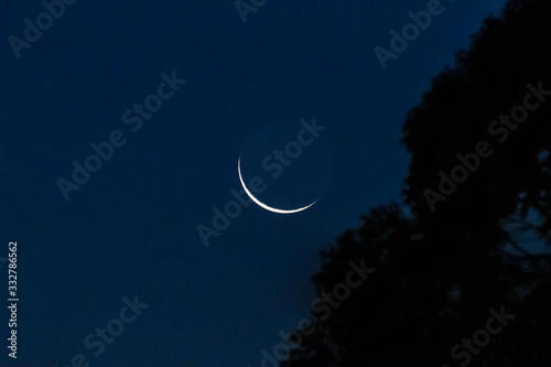 lua nova luz cinérea photo