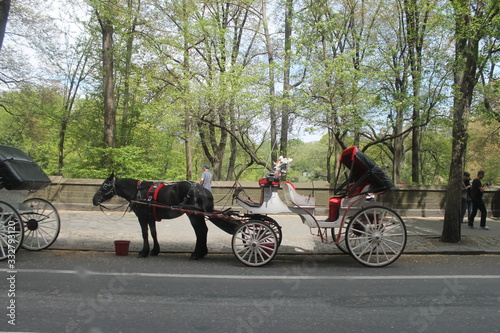Carriage