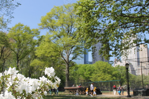 park in the city