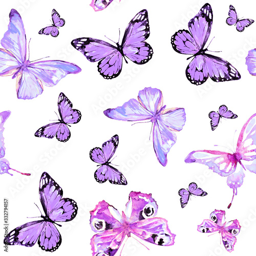 Photography beautiful butterfly pattern,watercolor,isolated on a white