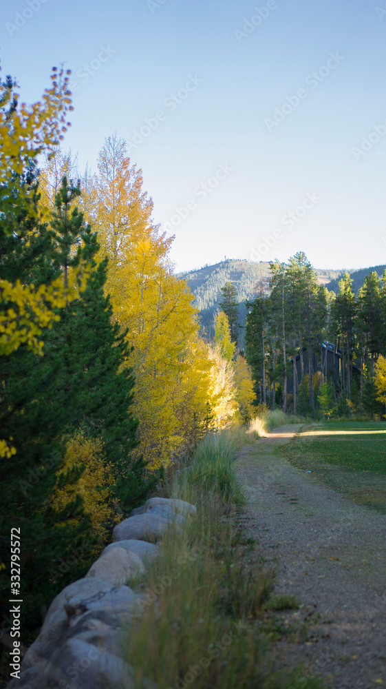 Obraz premium SONY DSC