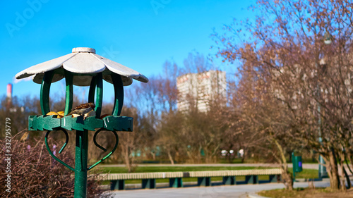 Canvas Print bird feeder in the lilac garden of moscow