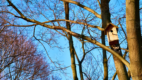 homemade bird feed in moscow