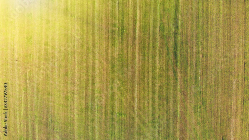 Overhead aerial view of hay bales on a green meadow