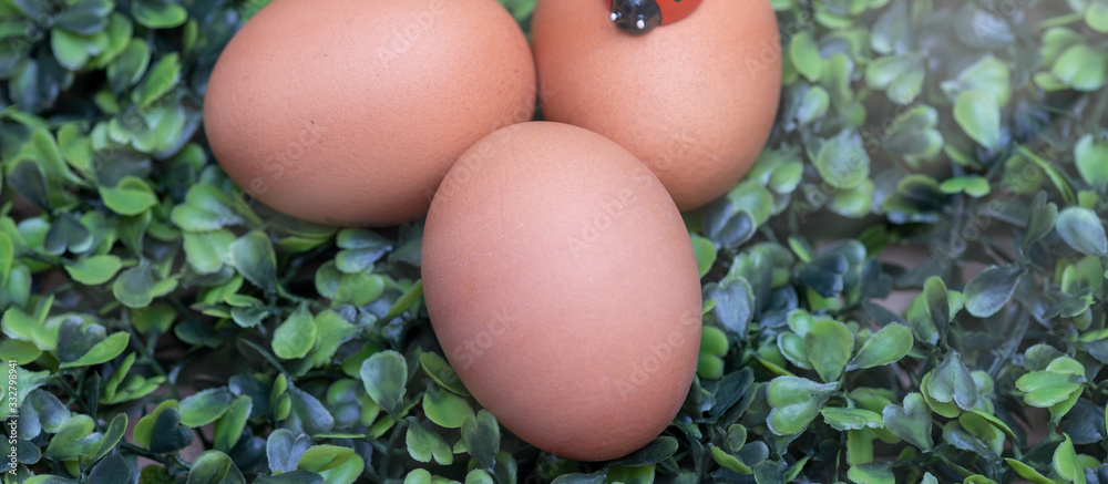 Easter eggs composition, close-up view Easter eggs composition, close-up view