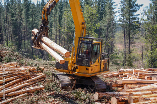 Logging Equipment Forest Machine