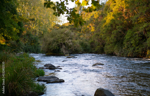 River and forest in Kawerau New Zealand photo