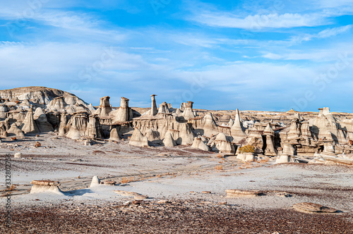  Hoodo Field Bisti-De-Na-Zin Wilderness photo