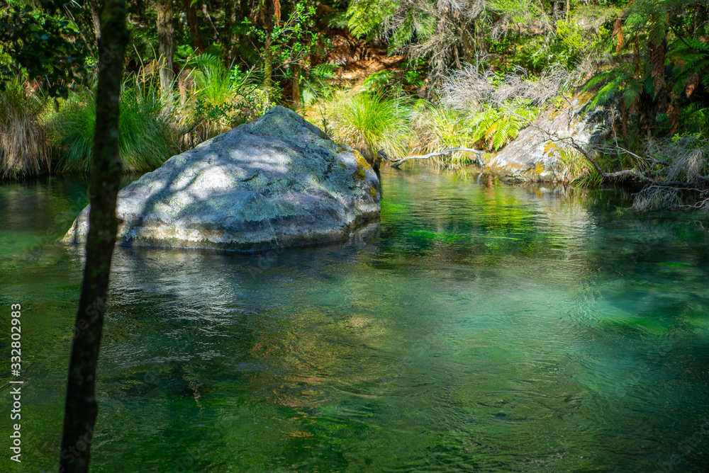 Rock and river in forest in New Zealand Rock and river in forest in New Zealand