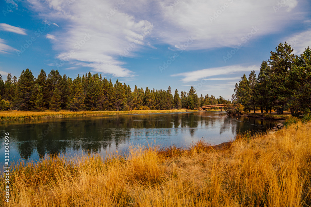 Photo of bridge over river in pine forest in autumn Photo of bridge over river in pine forest in autumn