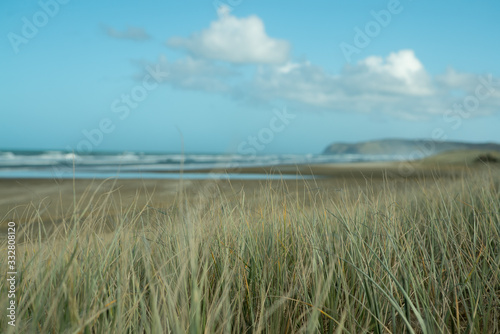 Grass with sea and land in the background at Cape Reinga New Zealand
