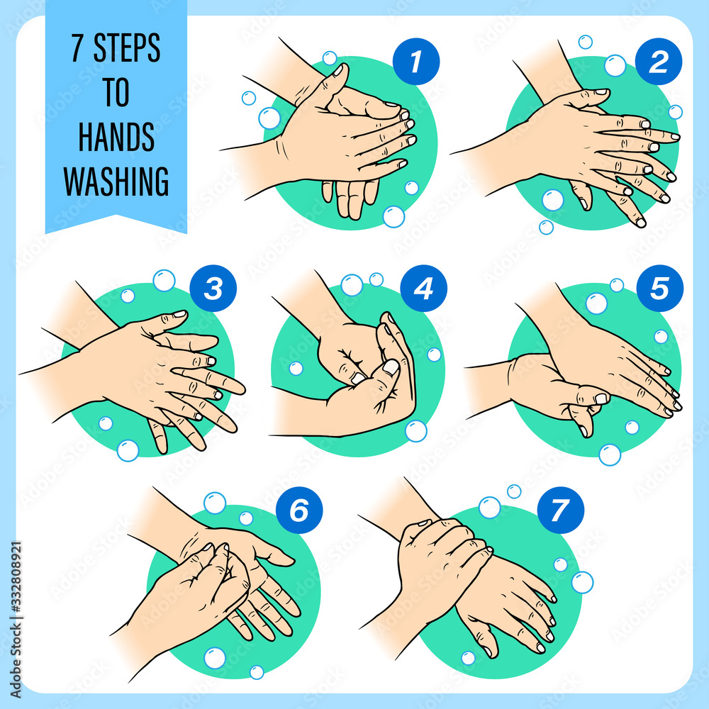 7 steps to washing hands. Hand sketch show steps and methods for washing  hands correctly for good health. Vector illustration vector de Stock |  Adobe Stock