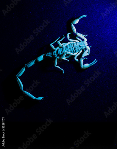 UV Scorpion
