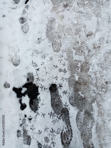 Snowy road with traces of birds and people spring and winter abstract background with copy space	