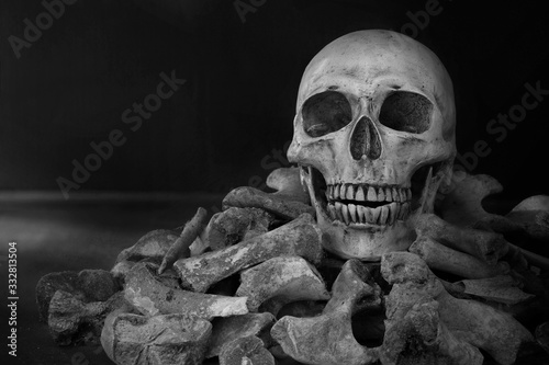 The skull on pile of bone on black background