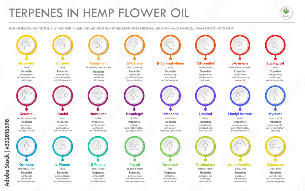Terpenes in Hemp Flower Oil with Structural Formulas horizontal