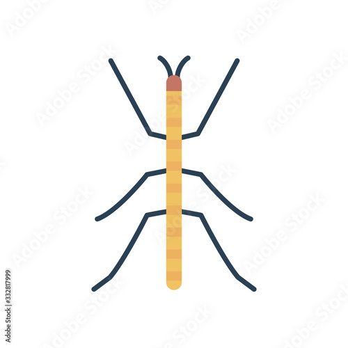 stick insect icon, flat style photo