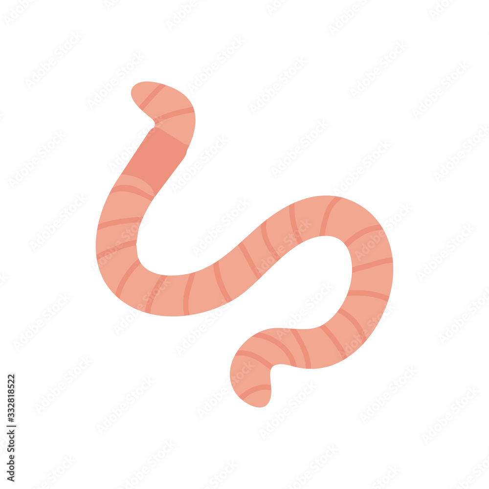 worm insect icon, flat style worm insect icon, flat style