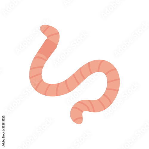 worm insect icon, flat style photo