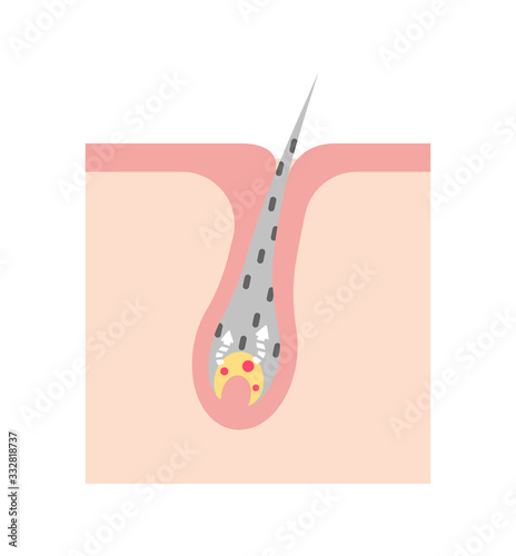 Mechanism of gray hair vector illustration / no text