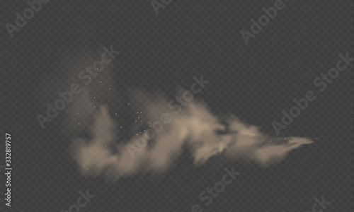 Dust cloud, sand storm, powder spray on transparent background. Desert wind with cloud of dust and sand. Realistic vector illustration.