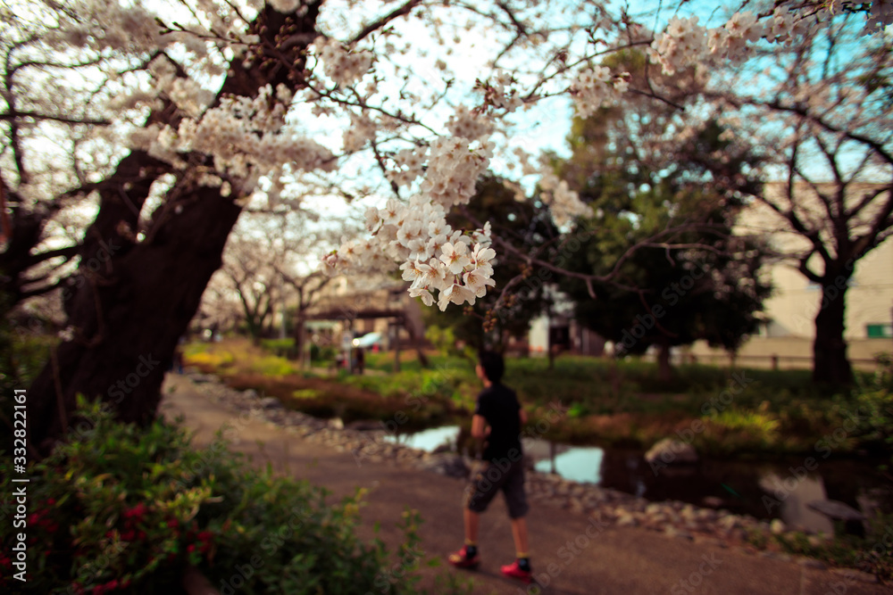 walk in the park walk in the park