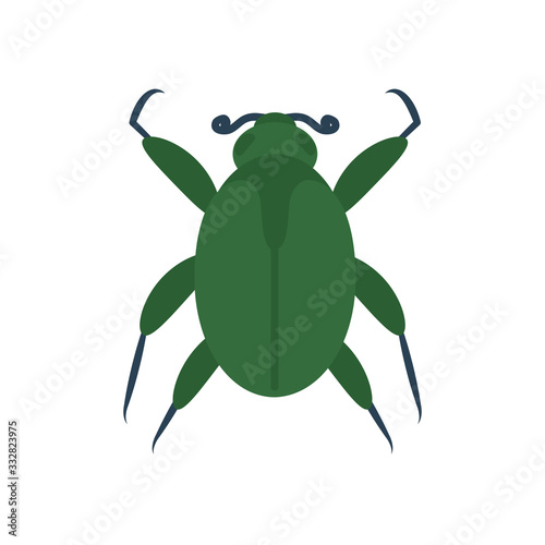 mite insect icon, flat style