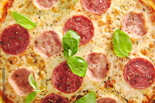 Pizza with Ham, Salami and Italian Herbs Isolated