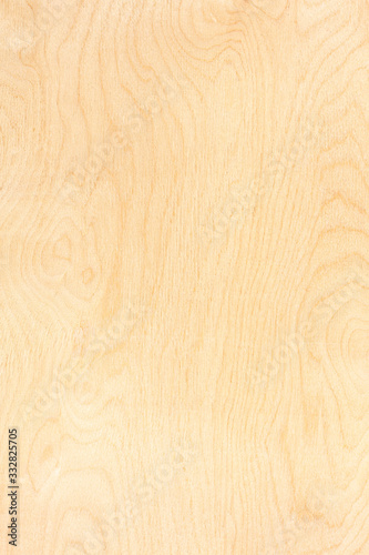 birch plywood surface. high-detailed wood texture series