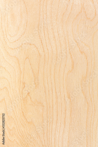 birch plywood background. high-detailed wood texture series