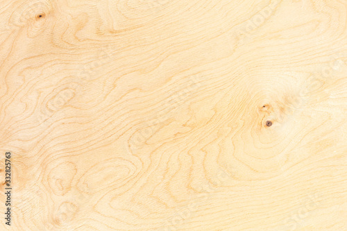 birch plywood pattern. high-detailed wood texture series