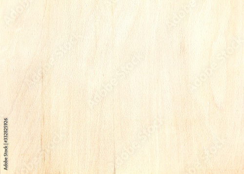 texture of birch plywood plank. natural wooden pattern background