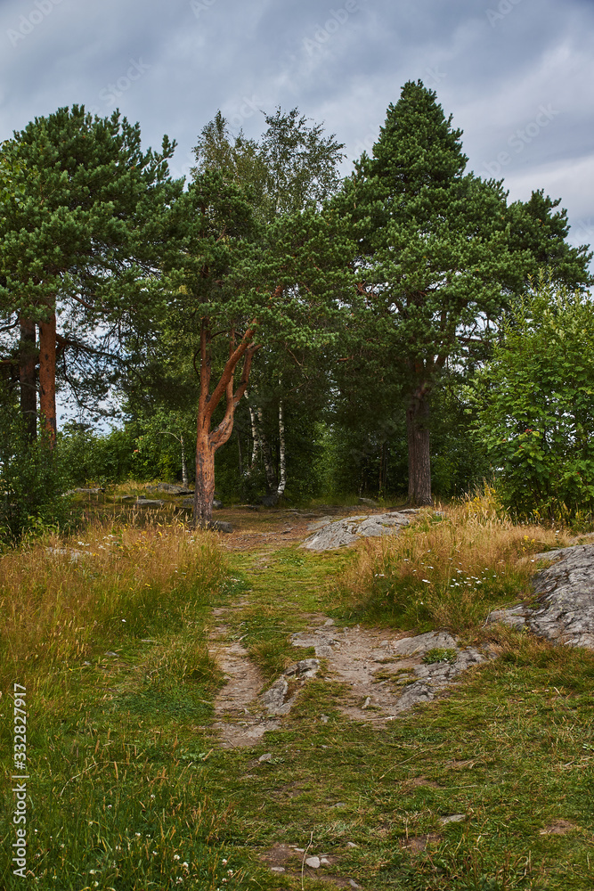 Typical Karelian landscape in the vicinity of Sortavala: a forest of conifers, traces of volcanic lava, rocks and volcanic rocks. Russia, Karelia, Sortavala.The nature of Karelia Typical Karelian landscape in the vicinity of Sortavala: a forest of conifers, traces of volcanic lava, rocks and volcanic rocks. Russia, Karelia, Sortavala.The nature of Karelia