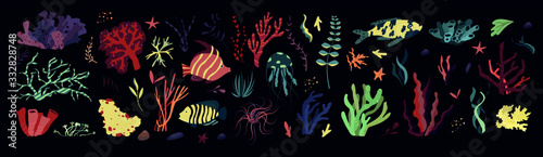 Underwater sea world dwellers  flora and fauna elements. Algae  coral reef  kelp. Vector cartoon illustration. 