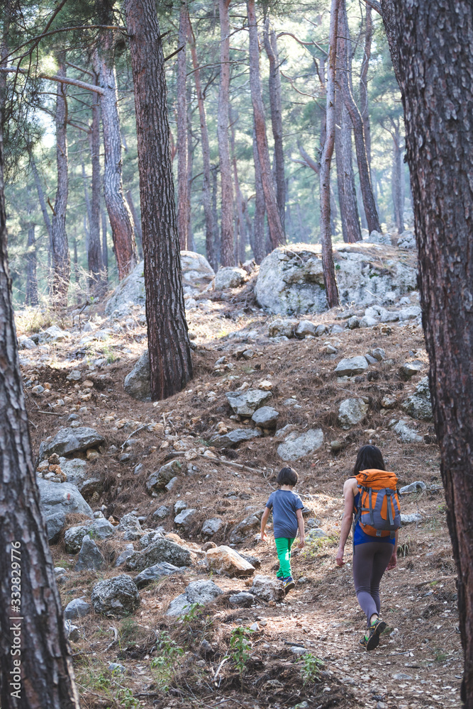 A woman walks with her son through the forest. A woman walks with her son through the forest.