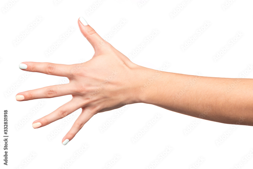 female hand isolated on white background showing hand gestures - Image